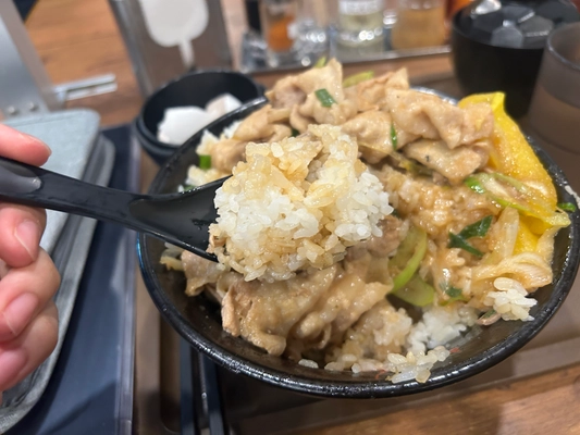 れんげでご飯をすくって