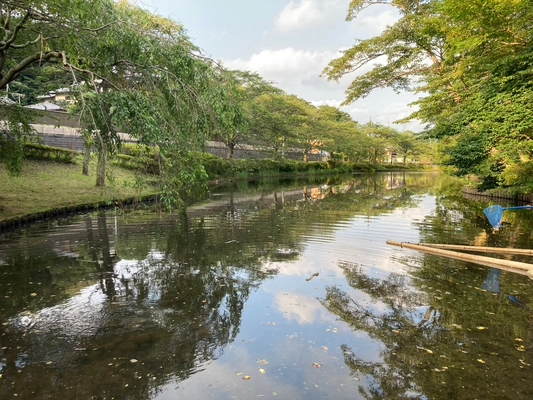 公園の川